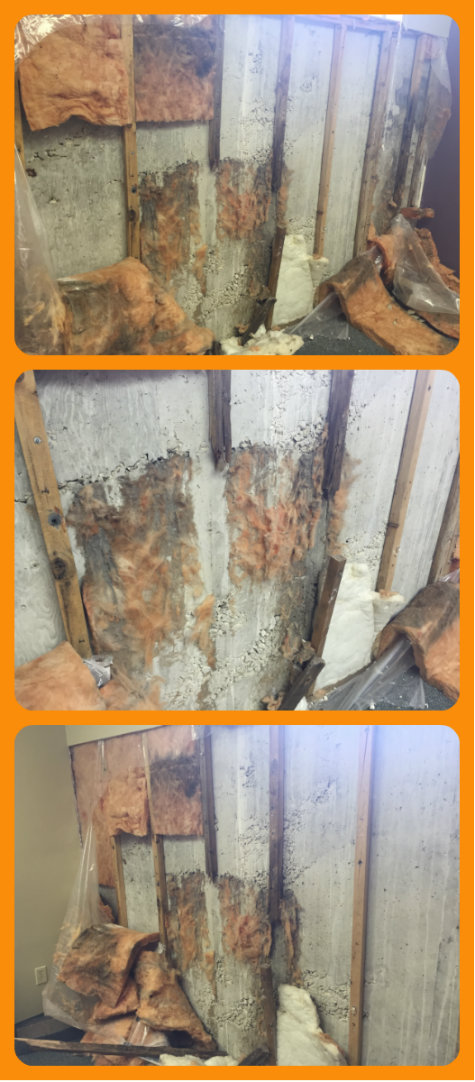 photos demonstrating damage in our walls in our offices...the problem lay beneath the surface